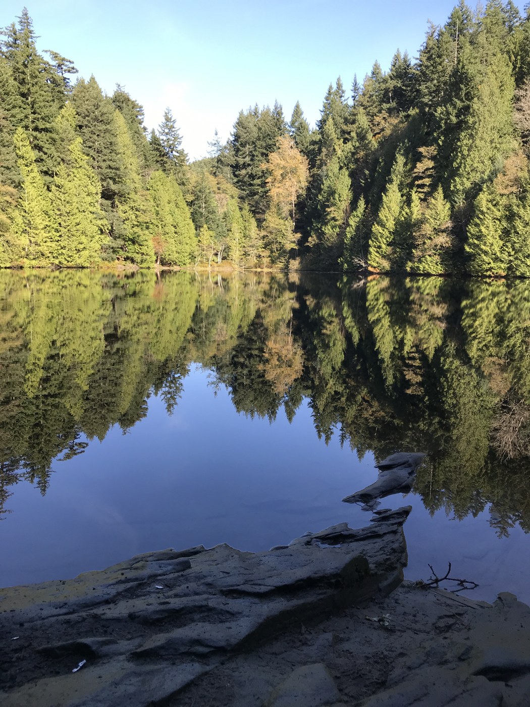 Evergreen forest reflected in Fragrance Lake near Larrabee State Park, Bellingham, WA