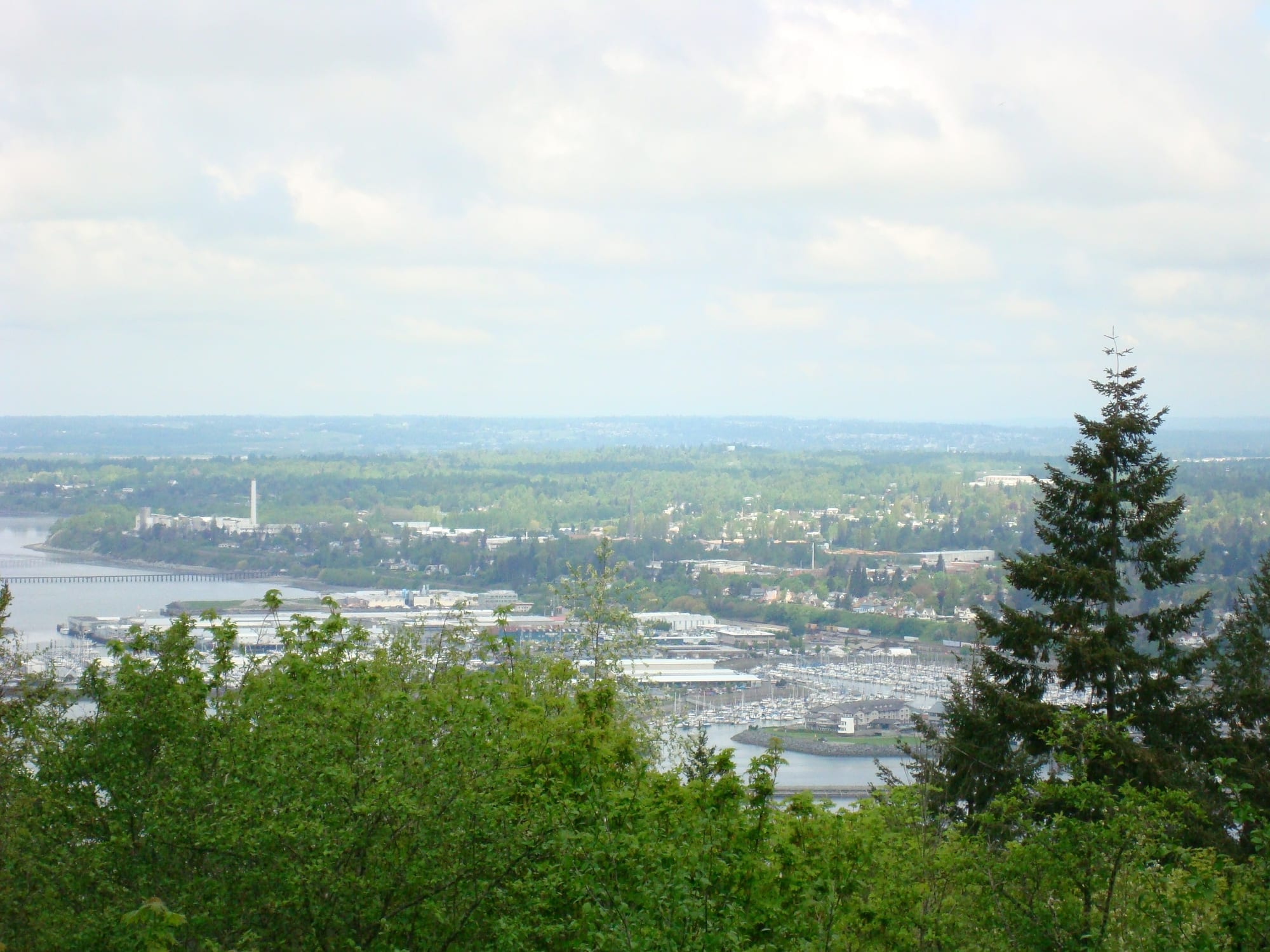 View over Bellingham and the bay from Sehome Hill Arboretum
