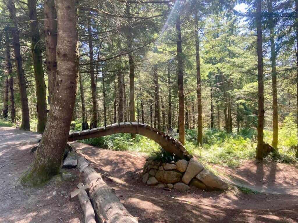 Wooden ramp feature on the Unemployment Line mountain bike trail at Galbraith Mountain in Bellingham, WA