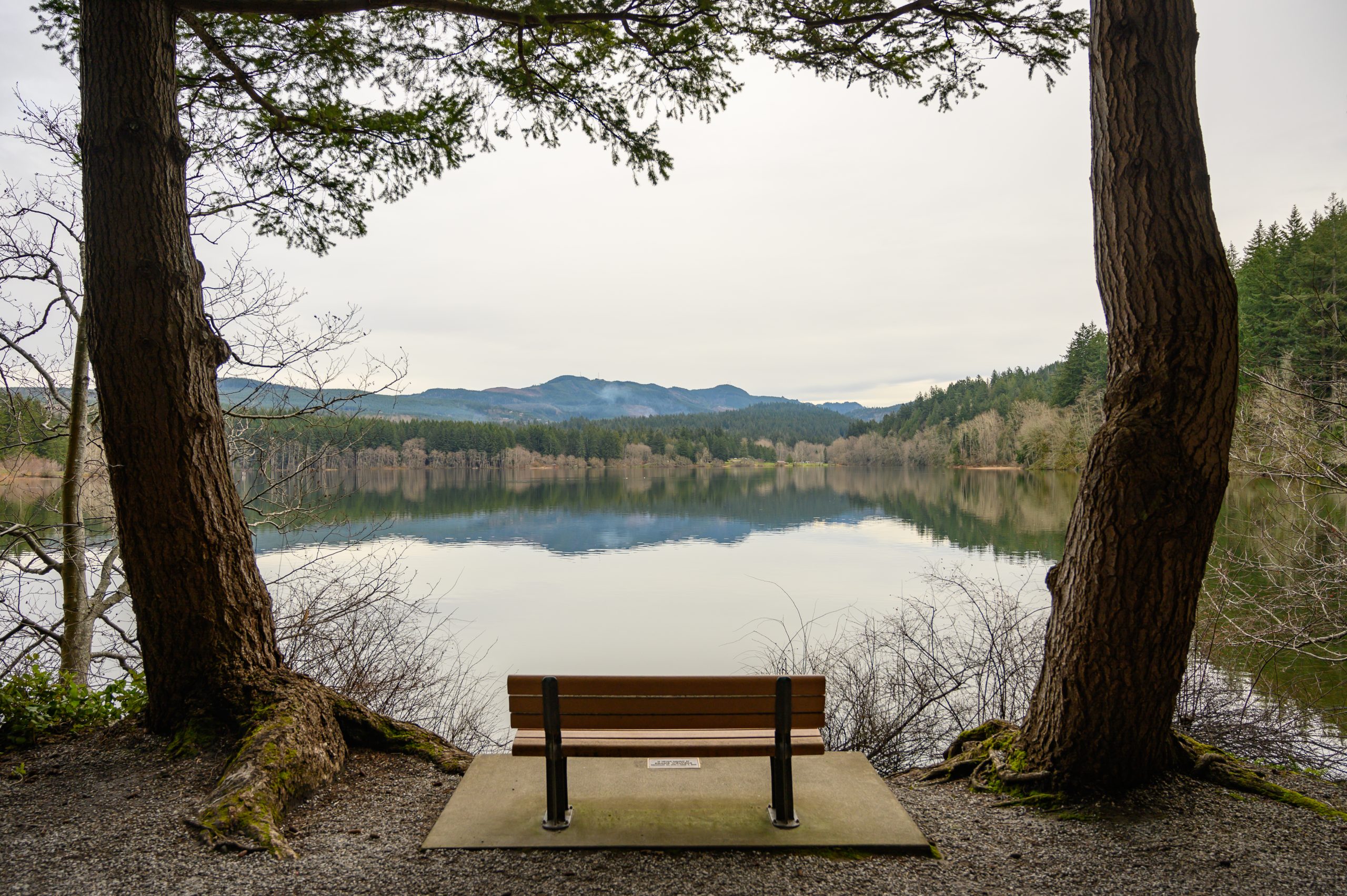 Lake Padden in Bellingham, WA