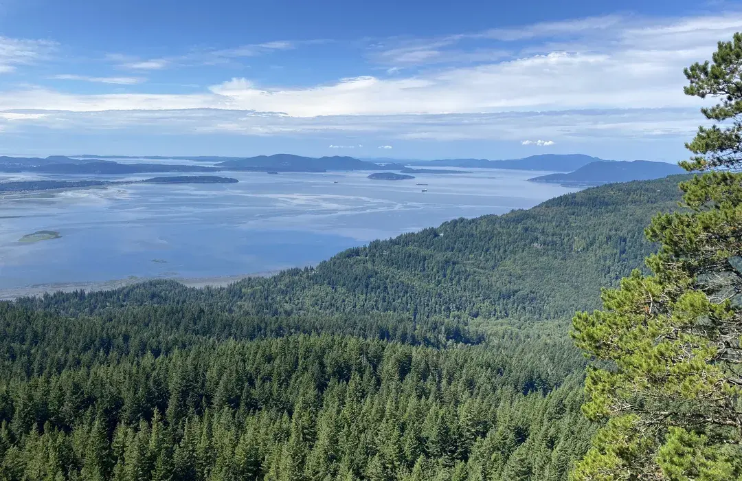 View from the top of Oyster Dome over Samish Bay near Bellingham, WA